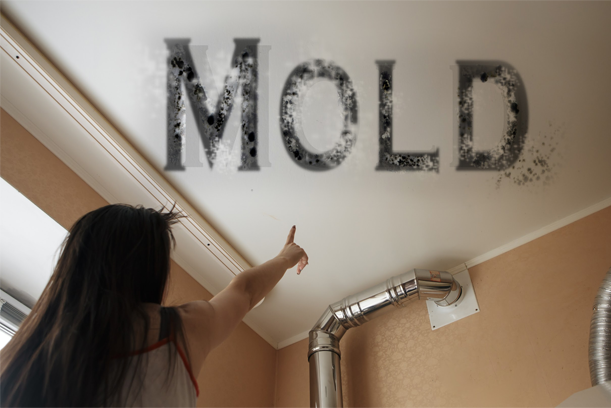 mold